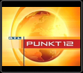 RTL Punkt 12